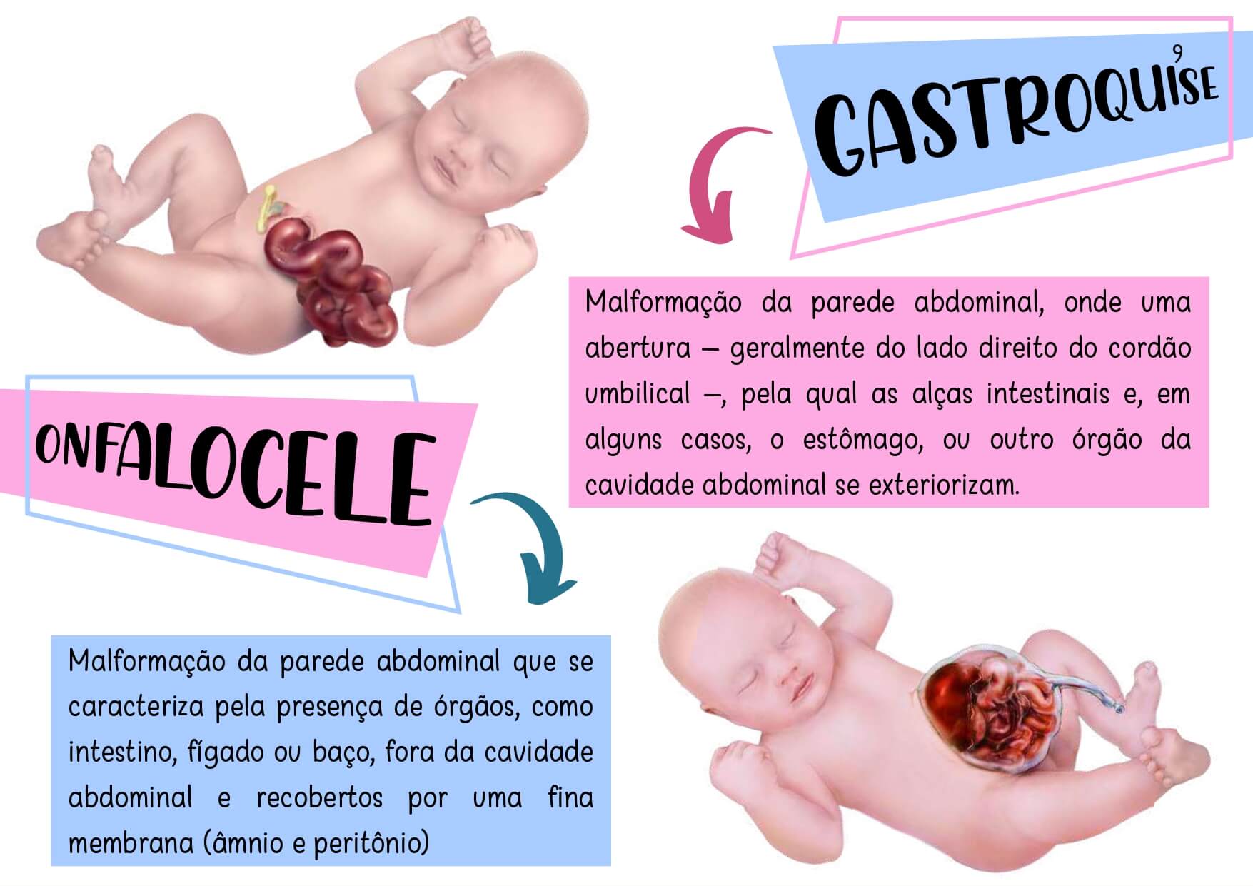 50-60_page-0005