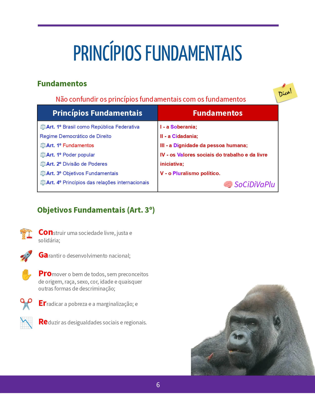 Direito-Constitucional-360-amostra_page-0001-1